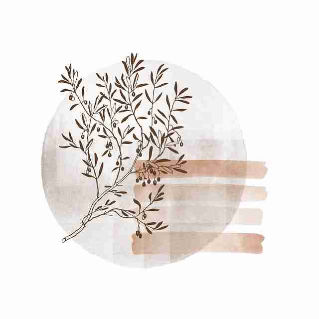 麻豆：节日版本品牌观察全景重现